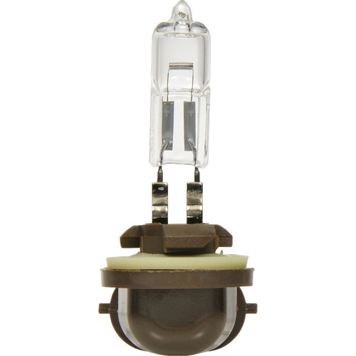 886 Basic Fog Bulb  - Qty 1 Bulb | SYL886.BX