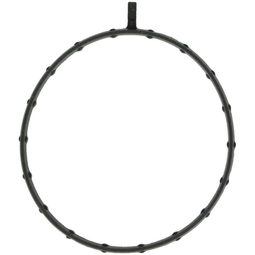 Fuel Injection Throttle Body Mounting Gasket | 55761659