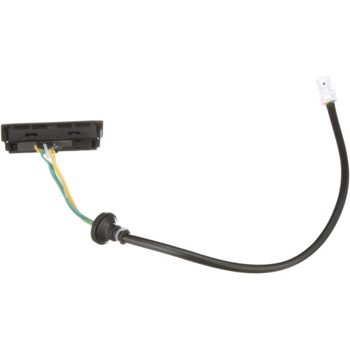 Liftgate Release Switch | BWDLGS314