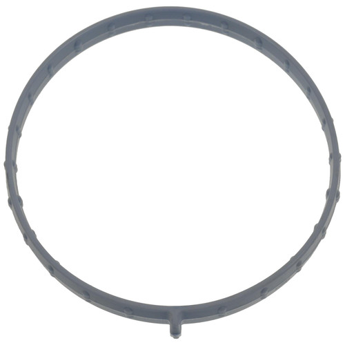 Electronic Throttle Body (ETB) Gasket | BWDG95129