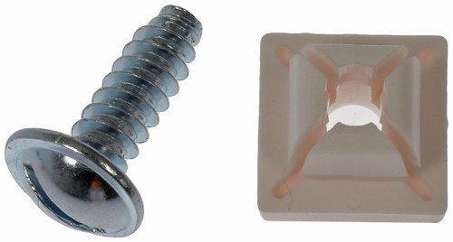 License Plate Bolts And Nuts | DOR02405