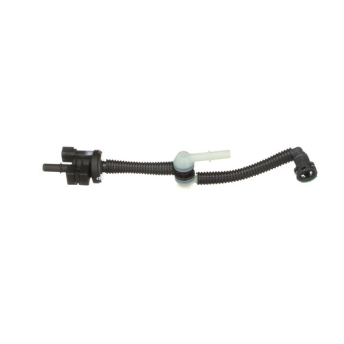 Canister Purge Solenoid | BWDCP10011