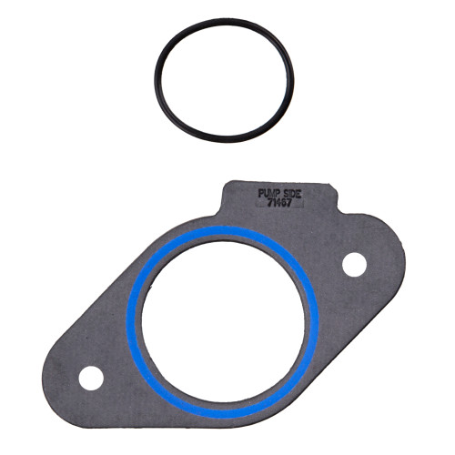 Fuel Pump Mounting Gasket Set | 557ES 73194