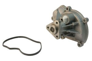 Water Pump w/ Gasket | UROURO-011142
