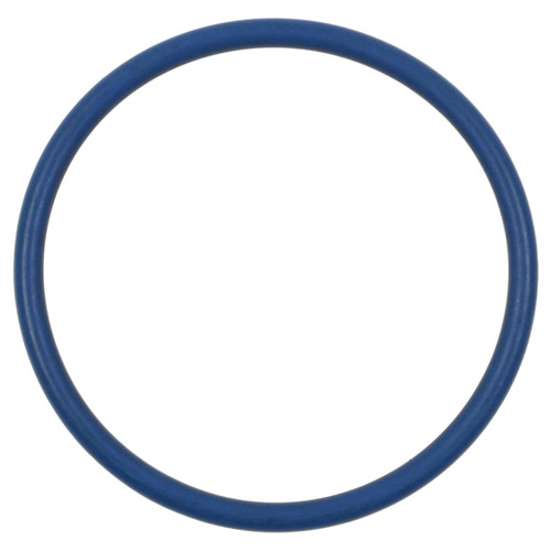 Fuel Pump O-Ring | BWDRGD61