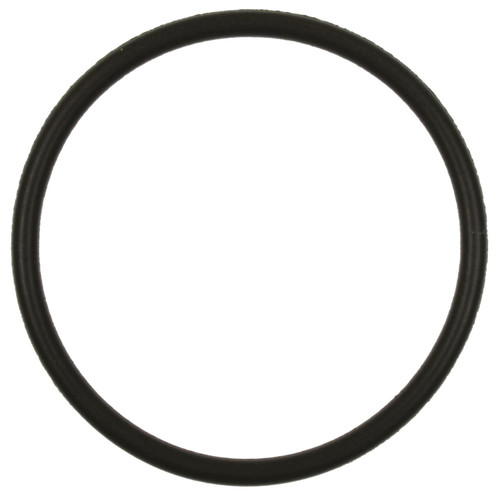 Fuel Pump O-Ring | BWDRGD21