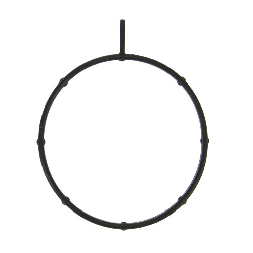 Fuel Injection Throttle Body Mounting Gasket | 55761634