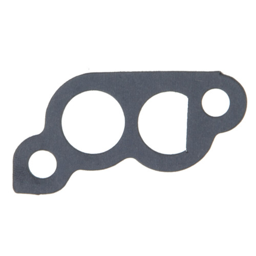 Fuel Injection Idle Air Control Valve Gasket | 55761245
