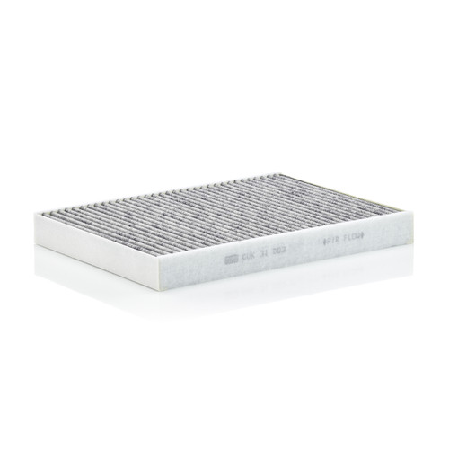 Cabin Air Panel | MANCUK 31 003