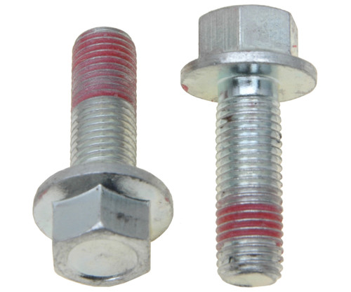 R-Line Disc Brake Caliper Bracket Mounting Bolt | RAYH17007