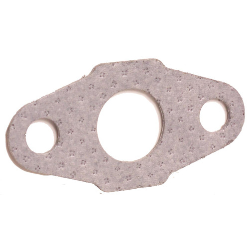 EGR Valve Mounting Gasket | BWDEVG146