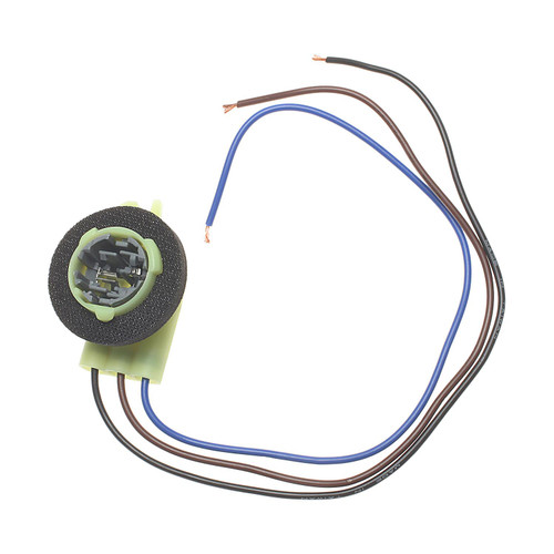 Multi Function Socket | BWDPT154