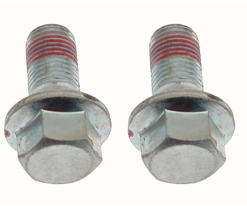 R-Line Disc Brake Caliper Bracket Mounting Bolt | RAYH17028