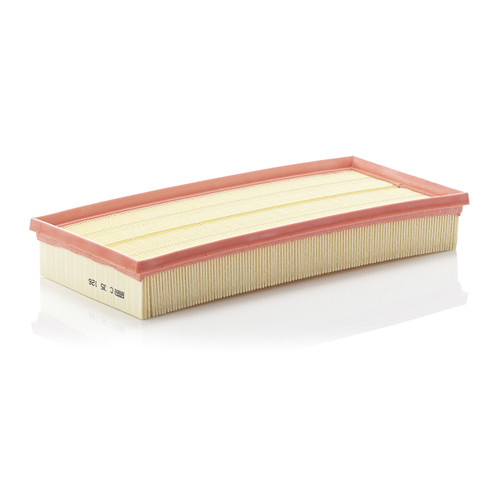 Air Filter Panel | MANC 35 126