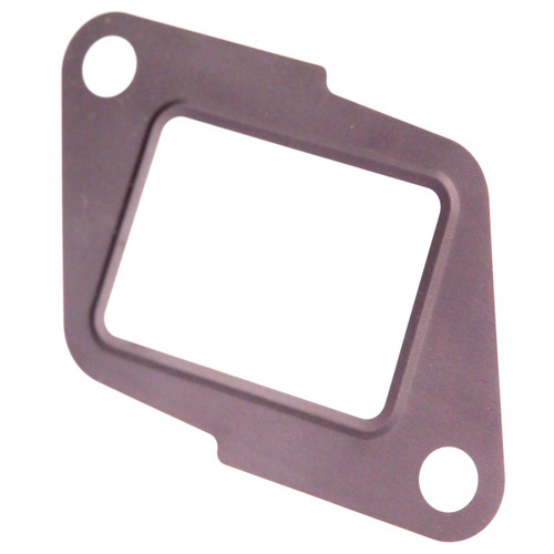 EGR Valve Mounting Gasket | BWDEVG119