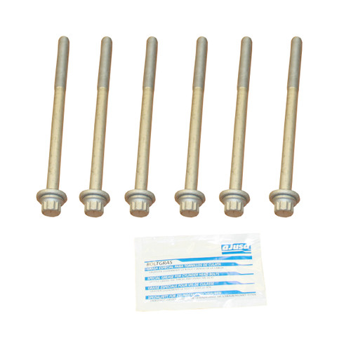 Cylinder Head Bolt Set | AJU81048800