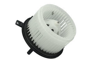 Blower Motor Assembly | UROCY0619648