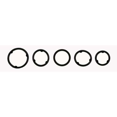 Engine Oil Cooler Adapter Seal Set | 557ES 73248