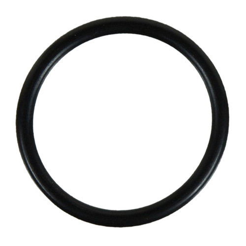Multi-Purpose O-Ring | 55736057