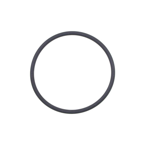 EGR Valve Mounting Gasket | BWDEVG182