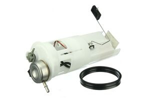 Fuel Pump Assembly | URODG0517334