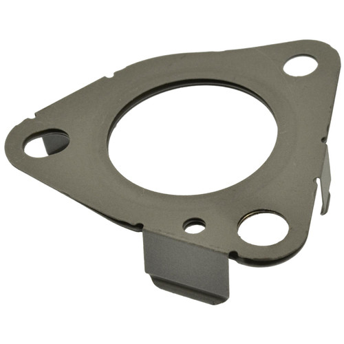 EGR Tube Gasket | BWDEVG261