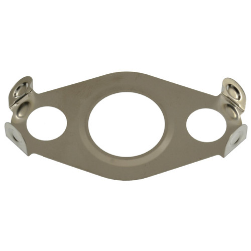 EGR Valve Mounting Gasket | BWDEVG275
