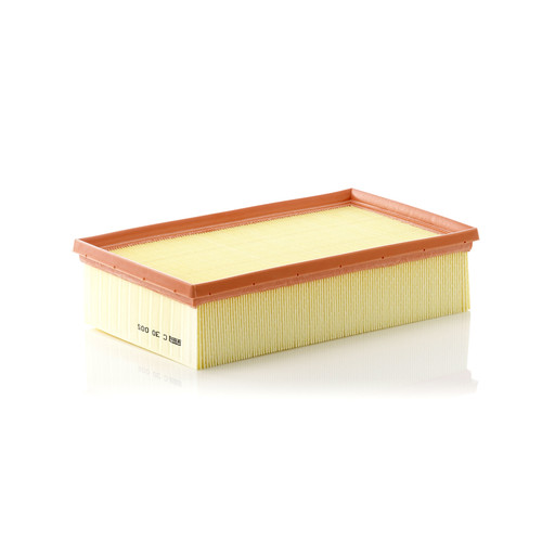 Air Filter Panel | MANC 30 005