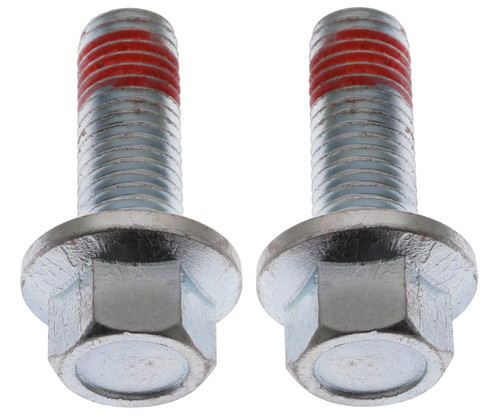 R-Line Disc Brake Caliper Bracket Mounting Bolt | RAYH17039