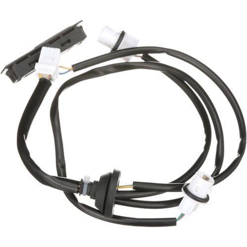 Liftgate Release Switch | BWDLGS308