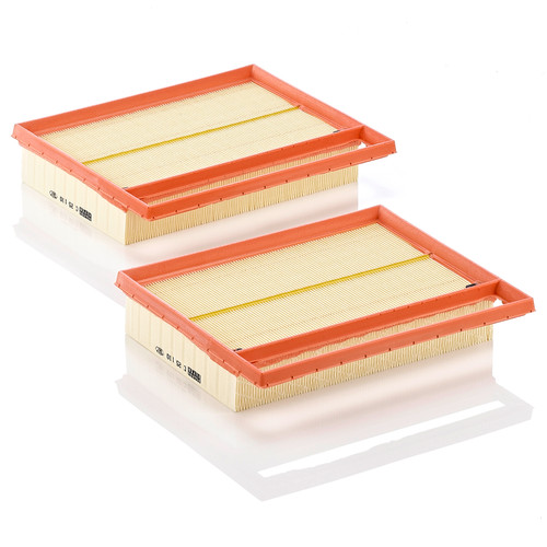 Air Filter Panel | MANC 25 110-2