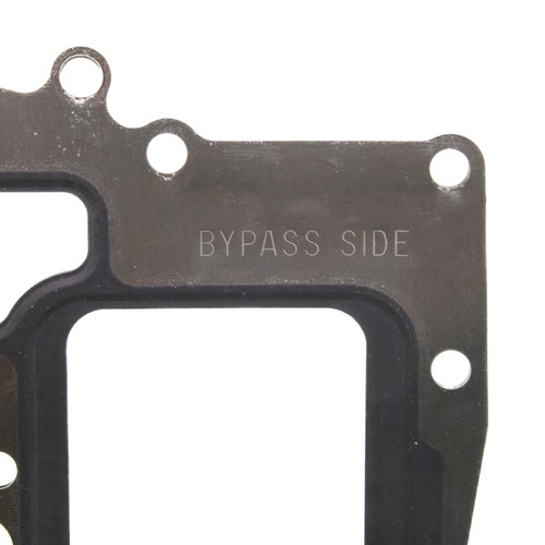 EGR Cooler Gasket | BWDEVG404