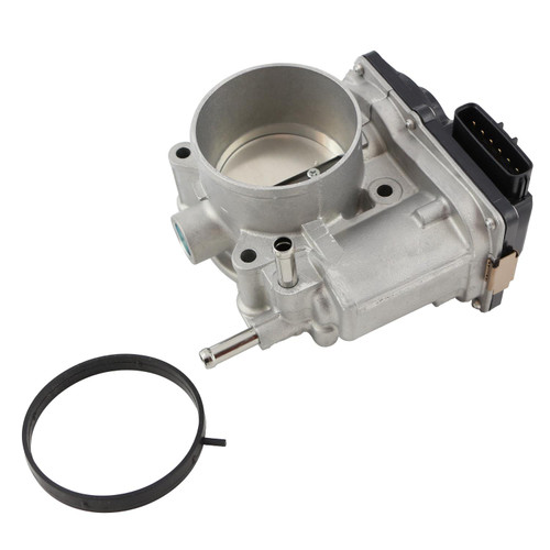 Fuel Injection Throttle Body | BWDS20215