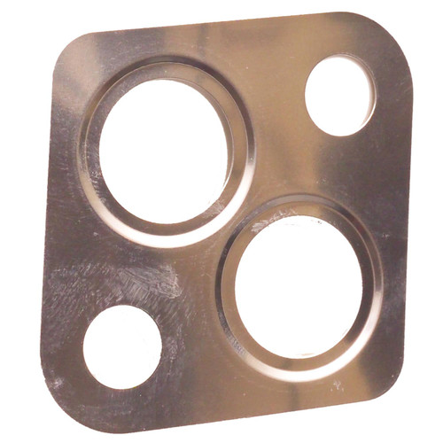 EGR Valve Mounting Gasket | BWDEVG147