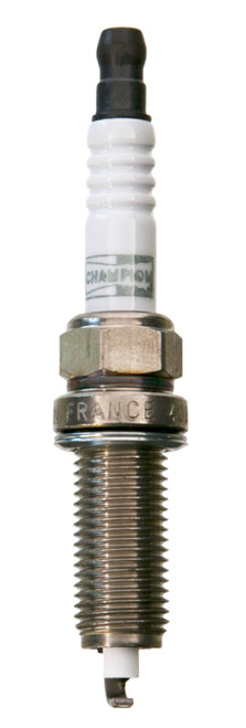 Champion Double Platinum - Boxed - Qty 1 | 2117445