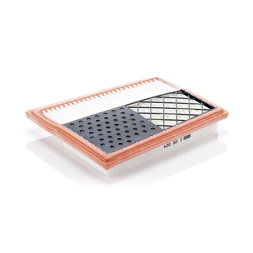 Air Filter Panel | MANC 25 004