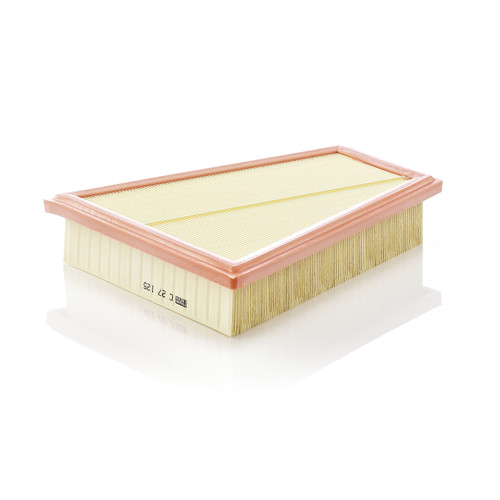 Air Filter Panel | MANC 27 125