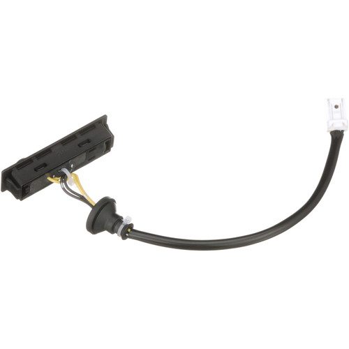 Liftgate Release Switch | BWDLGS315