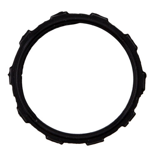 Engine Coolant Thermostat Gasket | 55736038