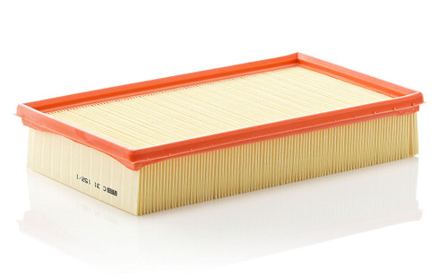 Air Filter Panel | MANC 31 152/1