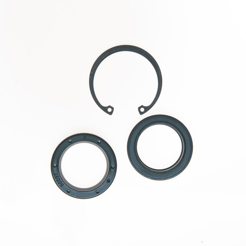 Stg. Gear Lwr Pitman Shaft Seal Kit | EPS8779