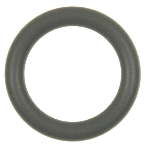 Fuel Pressure Regulator O-Ring | BWD274814