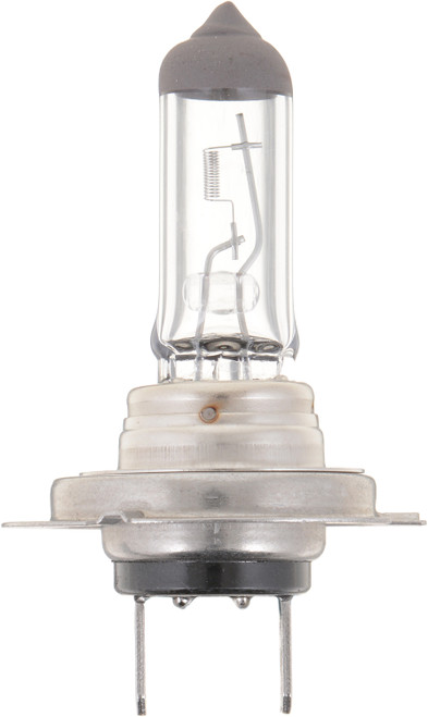 Standard Headlight H7 - Qty 2 | PHIH7B2