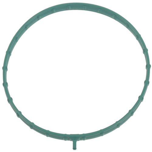 Electronic Throttle Body (ETB) Gasket | BWDG95152