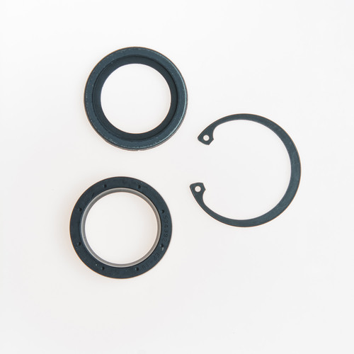 Stg. Gear Lwr Pitman Shaft Seal Kit | EPS8516