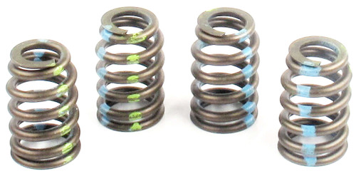 Engine Valve Spring | 66ERV-3502S