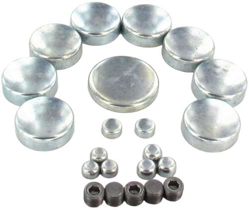 Engine Expansion Plug Kit | 66EEP100R