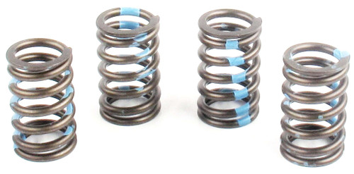 Engine Valve Spring | 66ERV-1680S