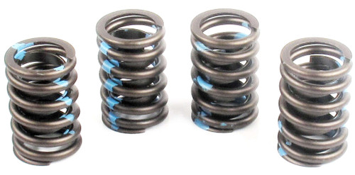 Engine Valve Spring (Qty 1) | 66ERV-909XS