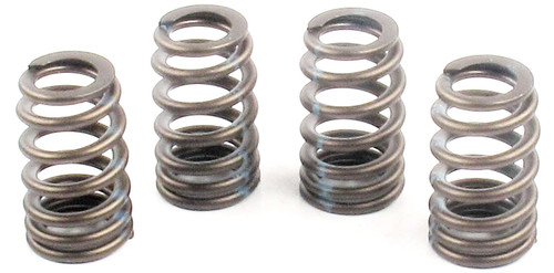 Engine Valve Spring | 66ERV-3558S